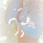 ヒメ日記 2025/03/25 23:35 投稿 鳥羽花 セレブショップ新宿（東京ハレ系）