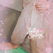 ヒメ日記 2025/04/02 07:00 投稿 鳥羽花 セレブショップ新宿（東京ハレ系）