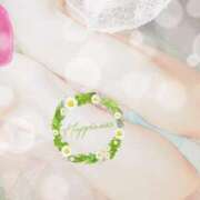 ヒメ日記 2025/04/11 18:30 投稿 鳥羽花 セレブショップ新宿（東京ハレ系）