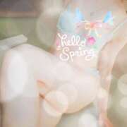 ヒメ日記 2025/04/15 08:23 投稿 鳥羽花 セレブショップ新宿（東京ハレ系）