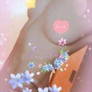 ヒメ日記 2025/04/22 17:30 投稿 鳥羽花 セレブショップ新宿（東京ハレ系）