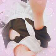 ヒメ日記 2025/05/22 19:04 投稿 鳥羽花 セレブショップ新宿（東京ハレ系）