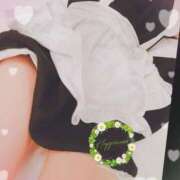 ヒメ日記 2025/05/30 07:00 投稿 鳥羽花 セレブショップ新宿（東京ハレ系）