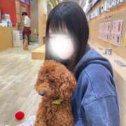 ヒメ日記 2025/05/06 11:43 投稿 もも ミスターダンディ パート2