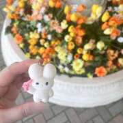 ヒメ日記 2025/06/18 11:58 投稿 もも ミスターダンディ パート2