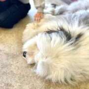 ヒメ日記 2025/02/22 15:41 投稿 佳奈(かな) グランドオペラ横浜