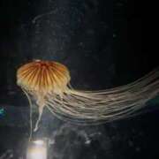 ヒメ日記 2025/02/27 13:21 投稿 佳奈(かな) グランドオペラ横浜