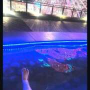 ヒメ日記 2025/03/11 00:00 投稿 佳奈(かな) グランドオペラ横浜