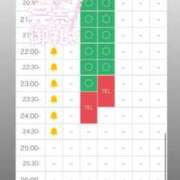 ヒメ日記 2025/04/10 22:43 投稿 佳奈(かな) グランドオペラ横浜