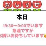 ヒメ日記 2025/04/16 09:02 投稿 佳奈(かな) グランドオペラ横浜