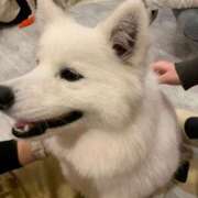 ヒメ日記 2025/07/17 23:38 投稿 あんな buzz-B