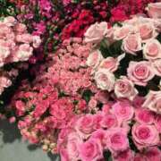 ヒメ日記 2025/10/28 14:15 投稿 あんな buzz-B