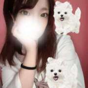 ヒメ日記 2025/06/28 15:07 投稿 ぴの 推しの娘