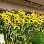 ヒメ日記 2025/08/26 14:06 投稿 こまち 奥様はエンジェル　八王子店