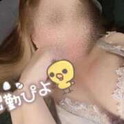 ヒメ日記 2025/06/14 11:46 投稿 れい ルックス抜群！ ウエスト・コム