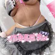 ヒメ日記 2025/02/26 18:42 投稿 ふたば 熟女の風俗最終章 蒲田店