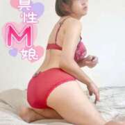 ヒメ日記 2025/06/07 11:33 投稿 ふたば 熟女の風俗最終章 蒲田店