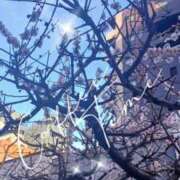 ヒメ日記 2025/03/13 10:40 投稿 まちこ 熟女の風俗最終章　越谷店