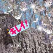 ヒメ日記 2025/04/03 08:22 投稿 まちこ 熟女の風俗最終章　越谷店