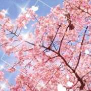 ヒメ日記 2025/04/07 14:13 投稿 まちこ 熟女の風俗最終章　越谷店