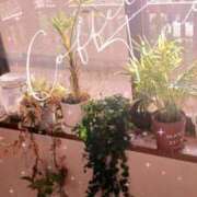 ヒメ日記 2025/05/28 07:42 投稿 まちこ 熟女の風俗最終章　越谷店