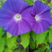 ヒメ日記 2025/07/07 18:43 投稿 まちこ 熟女の風俗最終章　越谷店