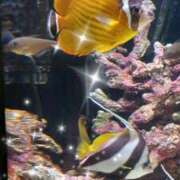 ヒメ日記 2025/08/22 17:31 投稿 まちこ 熟女の風俗最終章　越谷店