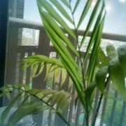 ヒメ日記 2025/09/07 10:02 投稿 まちこ 熟女の風俗最終章　越谷店