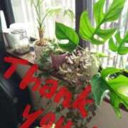 ヒメ日記 2025/12/03 08:22 投稿 まちこ 熟女の風俗最終章　越谷店