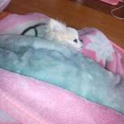 ヒメ日記 2025/03/27 13:32 投稿 さち 熟女の風俗最終章　越谷店