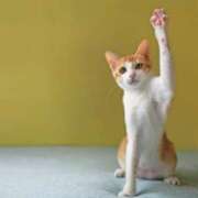 ヒメ日記 2025/03/10 09:14 投稿 みゆき 熟女の風俗最終章　越谷店