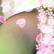 ヒメ日記 2025/03/23 09:51 投稿 みゆき 熟女の風俗最終章　越谷店