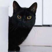 ヒメ日記 2025/04/12 18:46 投稿 みゆき 熟女の風俗最終章　越谷店