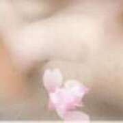 ヒメ日記 2025/04/15 13:10 投稿 みゆき 熟女の風俗最終章　越谷店