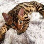 ヒメ日記 2025/05/13 07:43 投稿 みゆき 熟女の風俗最終章　越谷店