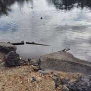 ヒメ日記 2025/12/21 08:52 投稿 みゆき 熟女の風俗最終章　越谷店