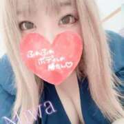 ヒメ日記 2025/02/22 14:02 投稿 みわ ちゃんこ大阪伊丹空港豊中店