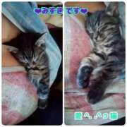 ヒメ日記 2025/11/11 15:20 投稿 みずき 熟女の風俗最終章 西川口店