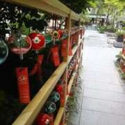 ヒメ日記 2025/03/07 16:52 投稿 なつ 熟女の風俗最終章 西川口店