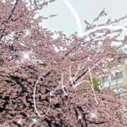 ヒメ日記 2025/03/17 13:32 投稿 まちこ 熟女の風俗最終章 西川口店