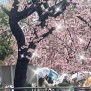 ヒメ日記 2025/03/19 08:58 投稿 まちこ 熟女の風俗最終章 西川口店