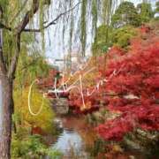 ヒメ日記 2025/11/27 20:42 投稿 まちこ 熟女の風俗最終章 西川口店