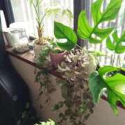 ヒメ日記 2025/12/08 08:31 投稿 まちこ 熟女の風俗最終章 西川口店