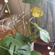 ヒメ日記 2026/01/06 10:22 投稿 まちこ 熟女の風俗最終章 西川口店