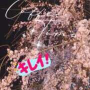 ヒメ日記 2026/03/25 09:50 投稿 まちこ 熟女の風俗最終章 西川口店