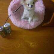 ヒメ日記 2025/03/29 14:22 投稿 さち 熟女の風俗最終章 西川口店