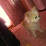 ヒメ日記 2025/09/06 14:12 投稿 さち 熟女の風俗最終章 西川口店