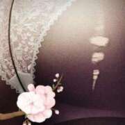 ヒメ日記 2025/02/25 13:02 投稿 みゆき 熟女の風俗最終章 西川口店