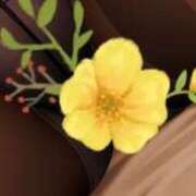 ヒメ日記 2025/03/12 09:22 投稿 みゆき 熟女の風俗最終章 西川口店