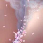 ヒメ日記 2025/03/23 13:22 投稿 みゆき 熟女の風俗最終章 西川口店